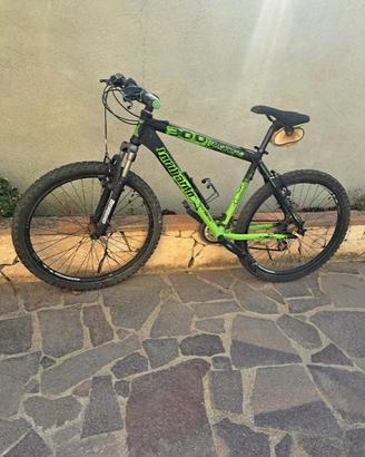 bicicletta