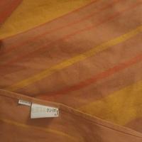 Fascia rigida Frog
