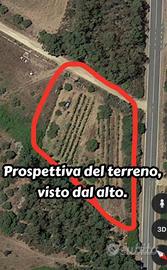 Terreno agricolo-Siniscola