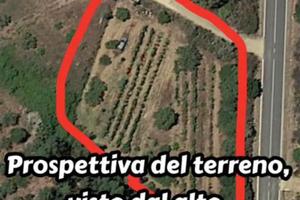 Terreno agricolo-Siniscola