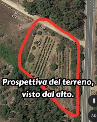 Terreno agricolo-Siniscola