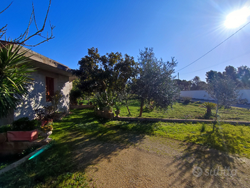 Terreno e rustico