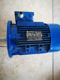 Motore elettrico marelli