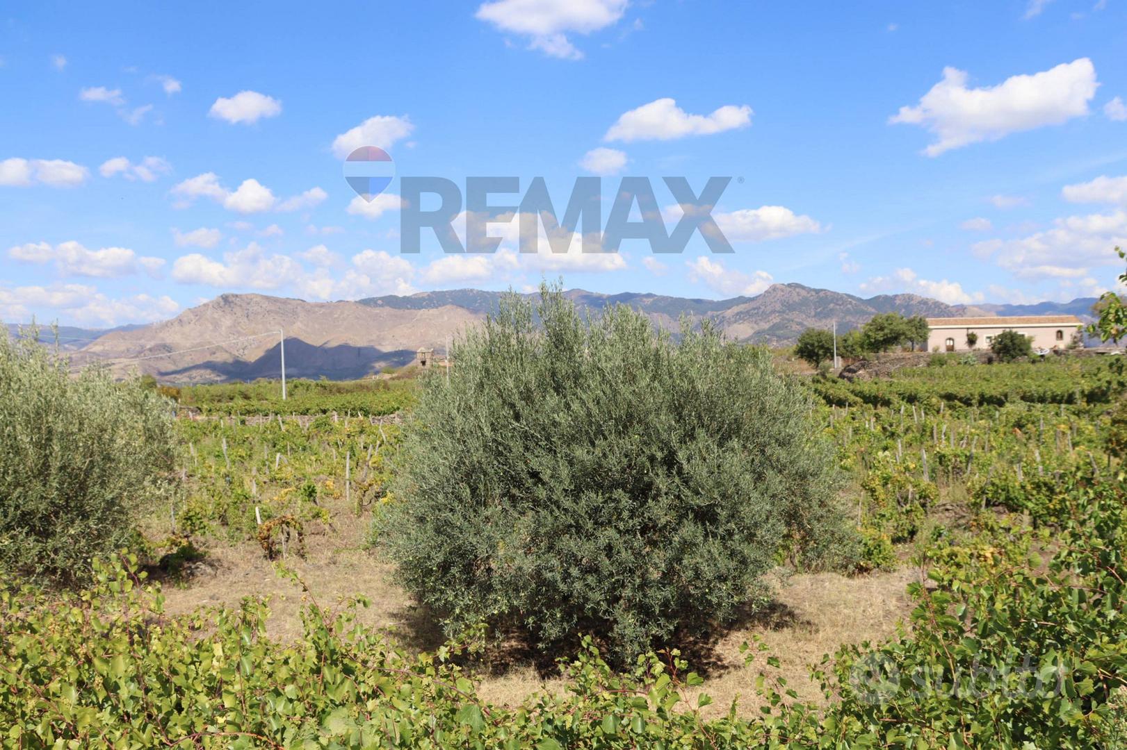 Terreno - Castiglione di Sicilia - Vista 4