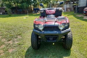 Kawasaki Altro modello