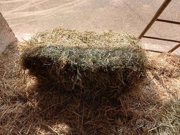 balle di fieno 
