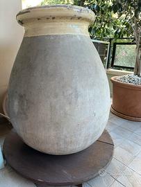 Orcio sardo