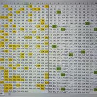 amici cucciolotti 2025