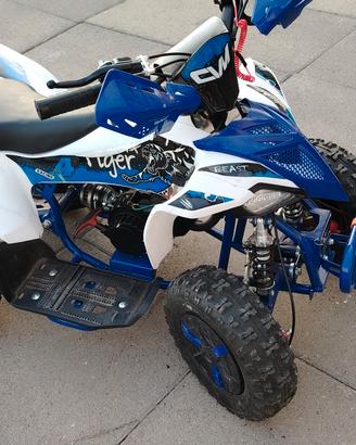 mini quad