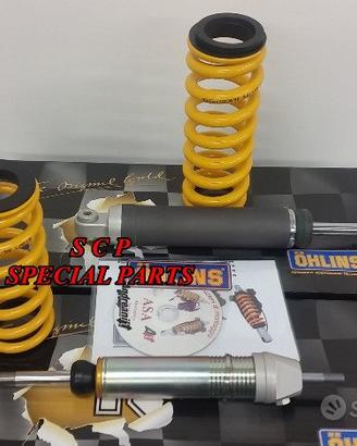 Bmw r 1200 gs adv ammortizzatori ohlins esa