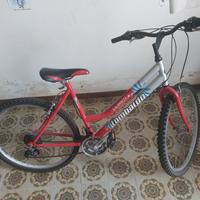 bici 26 donna Lombardo