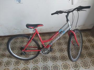 bici 26 donna Lombardo