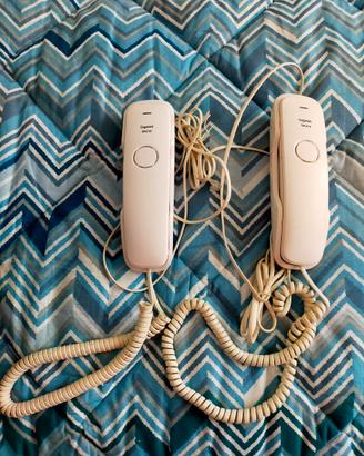 Telefono fisso 