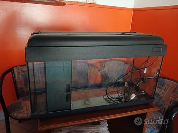 aquario