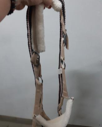 Capezze cavalli Cob