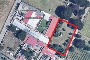 TER. AGRICOLO A ROMA