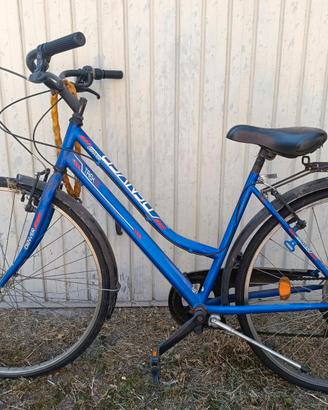 Bici Trek Denver donna 28''