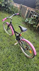bici 20
