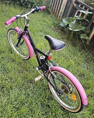 bici 20