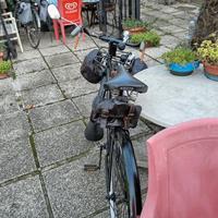 Biciclette uomo prezzi vari