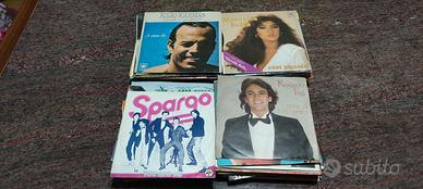DISCHI IN VINILE