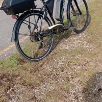 bici pedalata assistita 