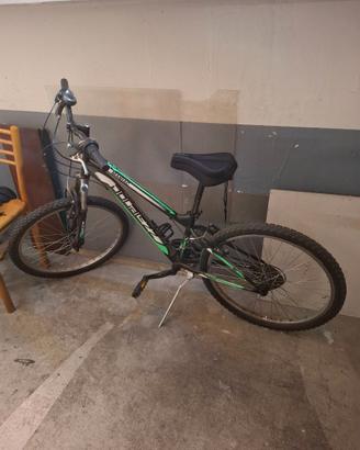 bicicletta