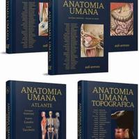 Libri anatomia umana edi ermes