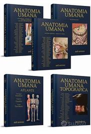 Libri anatomia umana edi ermes