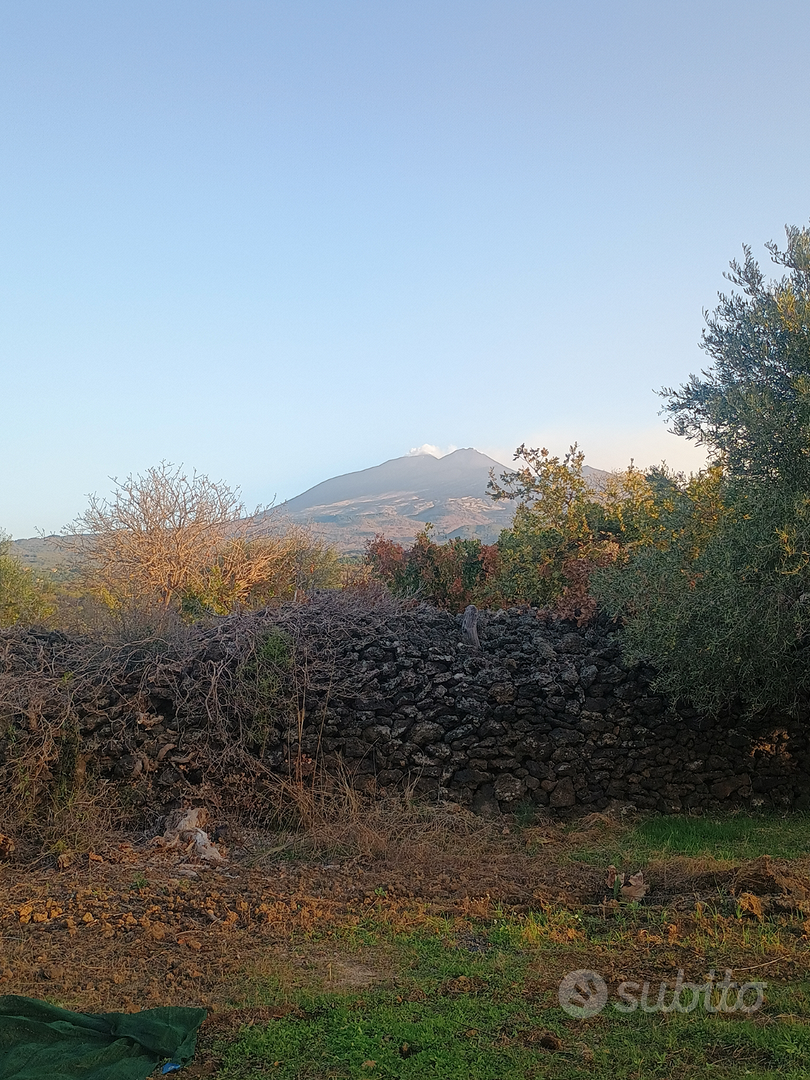 Terreno agricolo Belpasso - Vista 5