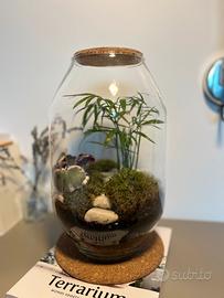 Terrarium