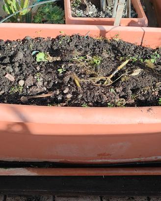 vasi per giardino