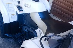 Altro Altro modello - 2016