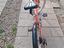 Immagine 2