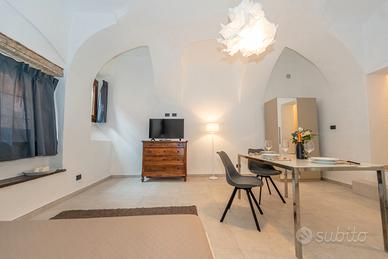 Monolocale ristrutturato