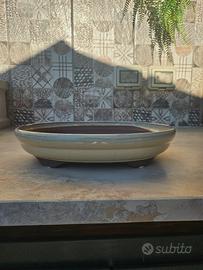 Vasi Bonsai