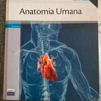 Libro universitario - anatomia umana VI edizione