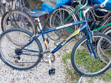 bicicletta mtb ragazzo