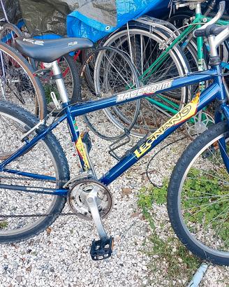 bicicletta mtb ragazzo