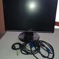 Schermo computer fisso