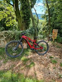 Raymon trialray 160e 10.0 