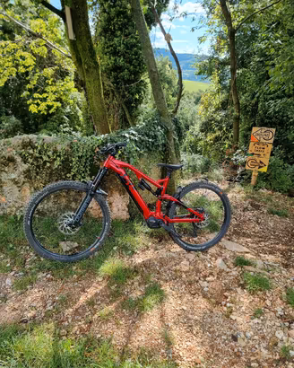Raymon trialray 160e 10.0 