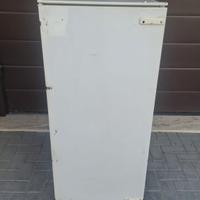 FRIGO DA INCASSO REX