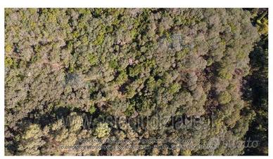 Terreno Agricolo Iglesias [A4348064]