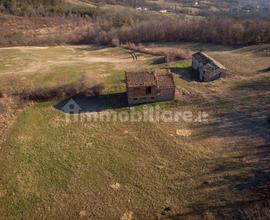 Podere con 2 rustici e 12 ettari di terreno