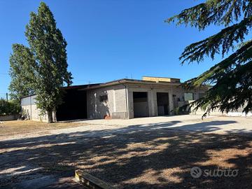 Magazzino con piazzale e terreno