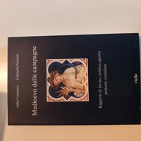 Medioevo delle campagne 