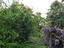 Immagine 15