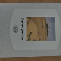 Pavese Giovane libro su Cesare Pavese