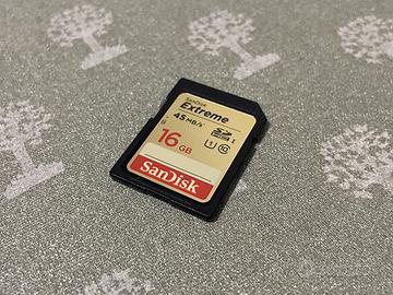 Scheda di memoria SanDisk Extrem SD HC 16GB 45MB/s